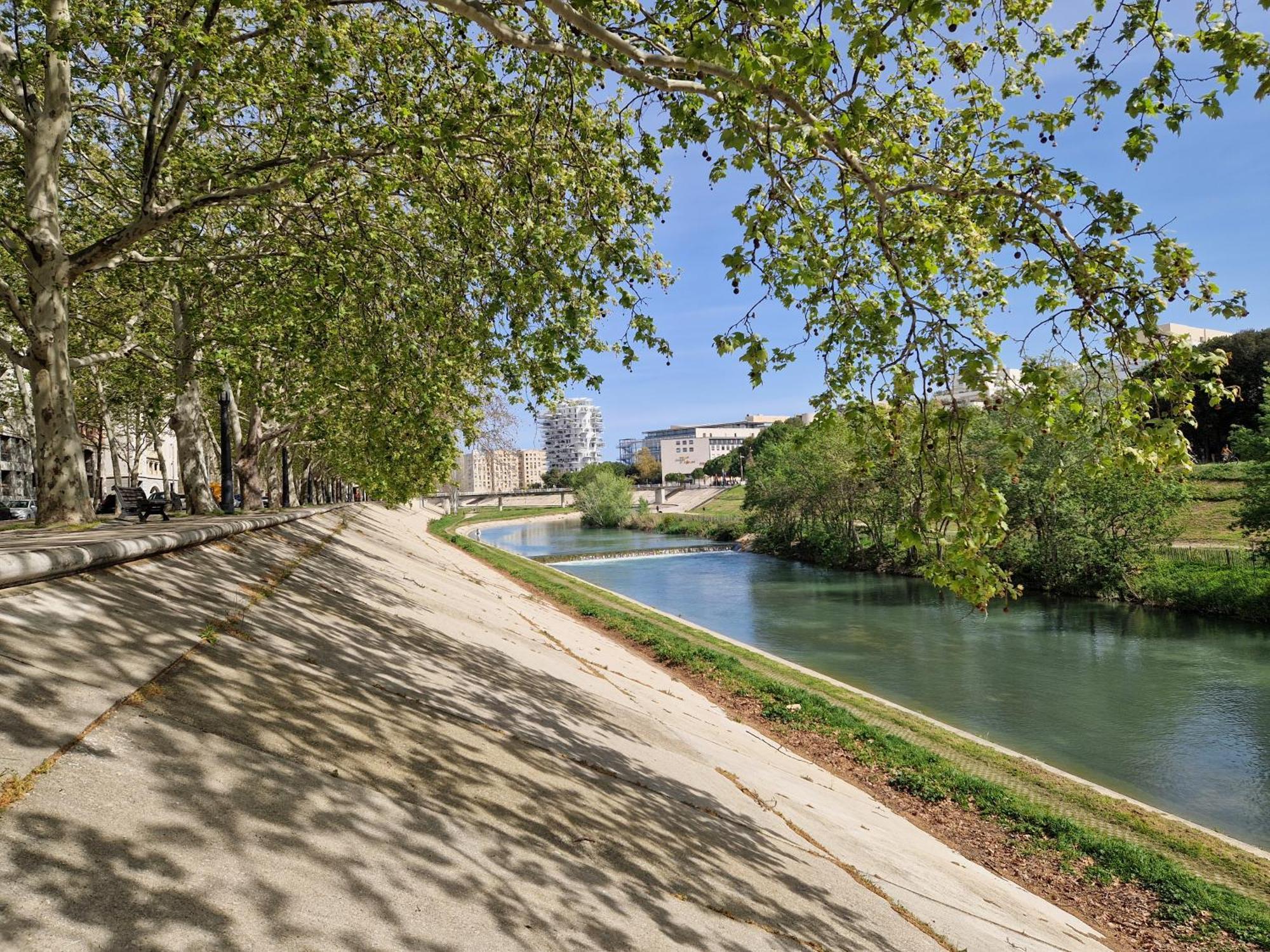 Appartement Avec Vue Sur Le Lez Montpellier Buitenkant foto